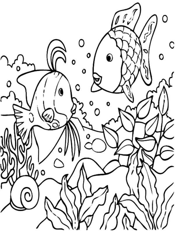 600x800 Coloring Pages Tropical Many Interesting Cliparts