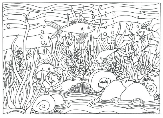 570x411 Printable Fish Amp Aquarium Scene Coloring By Triciagriffitharts