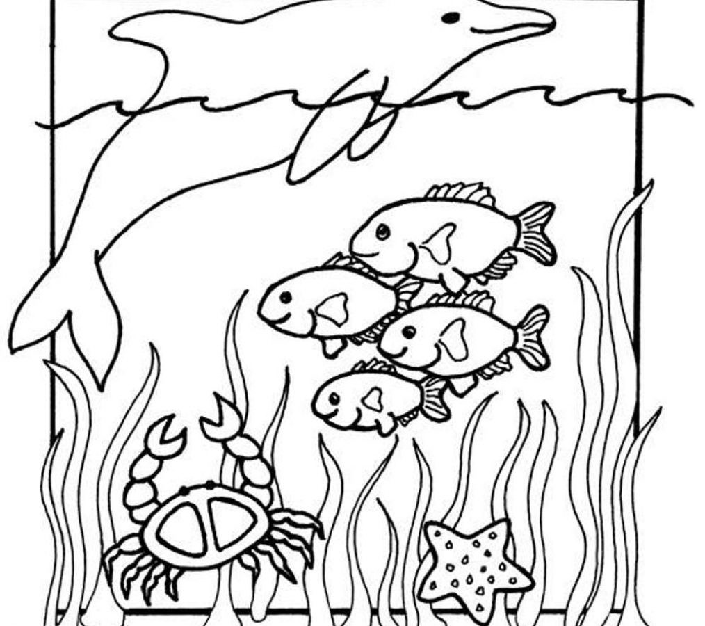 1014x900 Sea Animal Coloring Pages Printable Free 16 D Aquarium Page Kids