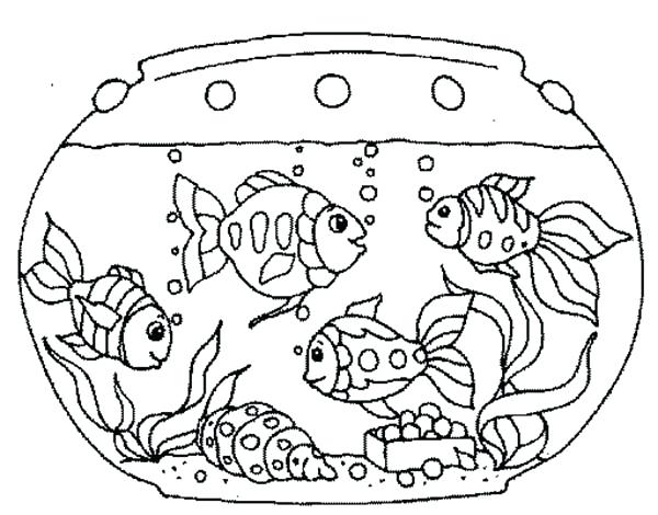 600x470 Aquarium Coloring Page Pet Fish In Aquarium Coloring Page Aquarium