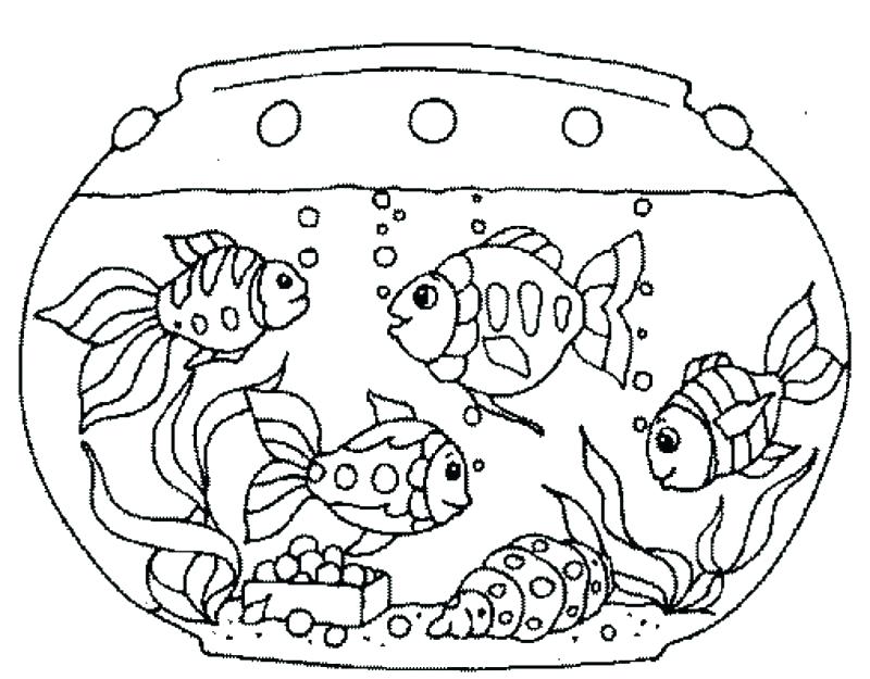 800x625 Aquarium Coloring Pages Fresh Fish Tank Coloring Page Free