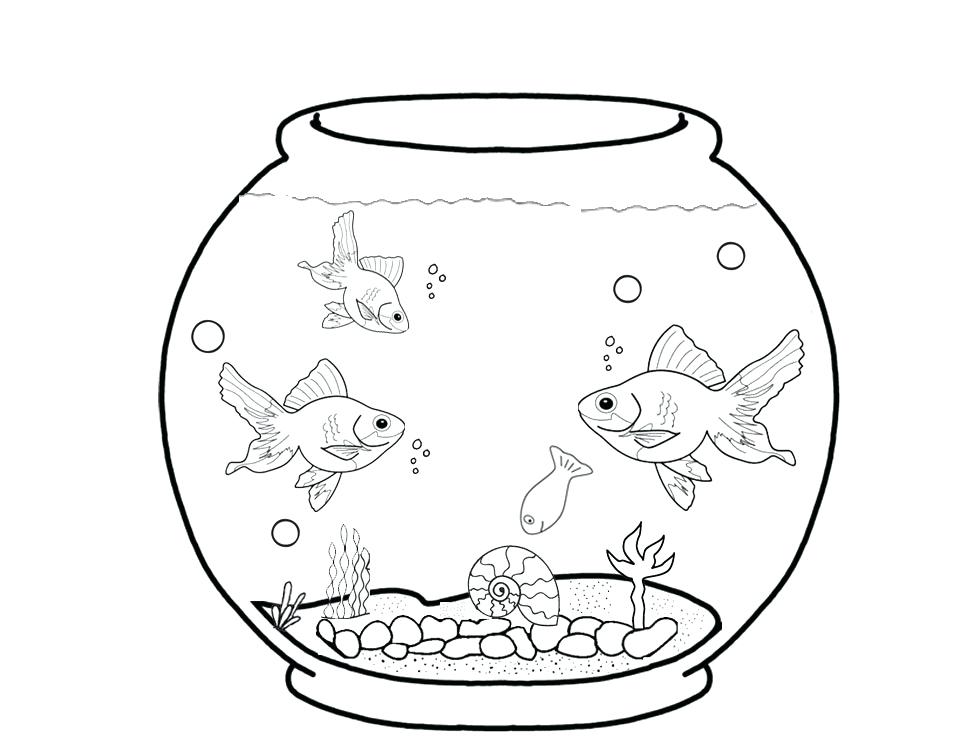 970x739 Fish Coloring Pages Aquarium Fish Coloring Pages Coloring Pages
