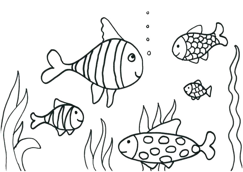 970x685 Fishes Coloring Pages Fish Coloring Book Together With Aquarium