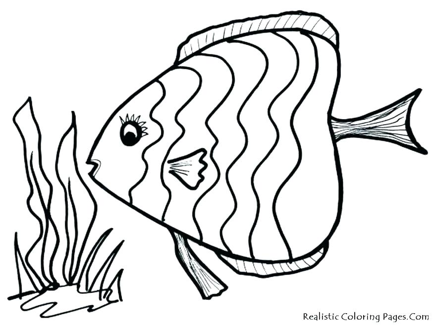 878x659 Realistic Fish Coloring Pages Tropical Fish Coloring Page Tropical
