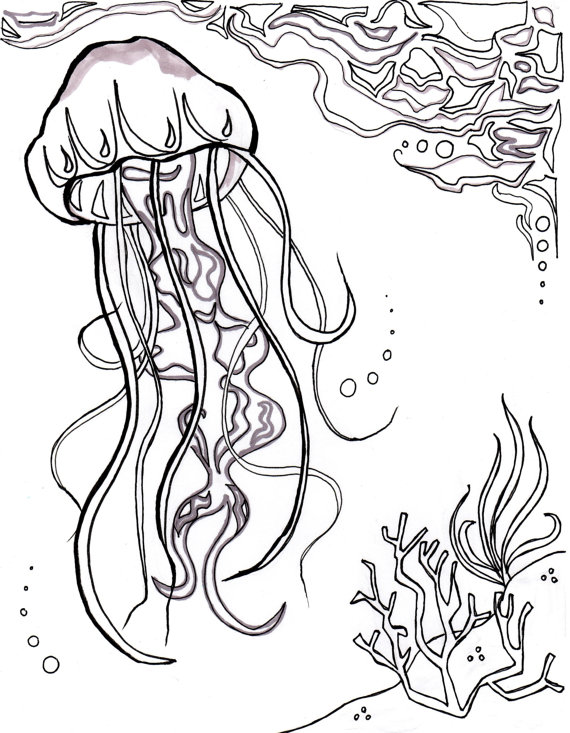 570x733 Jellyfish Ocean Ocean Coloring Sheet Aquatic Art Sea