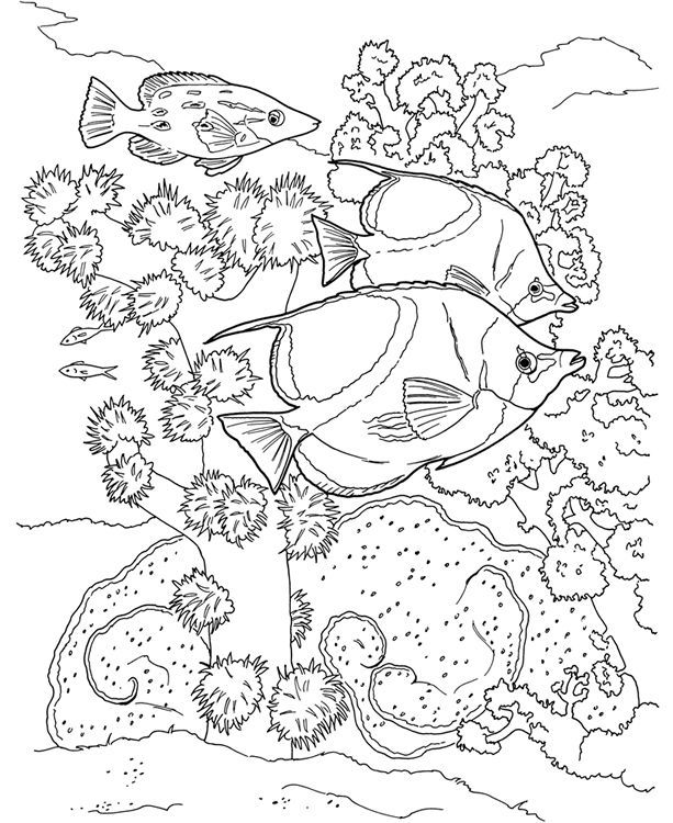 613x750 65 Best Coloring Pages Images On Coloring Books