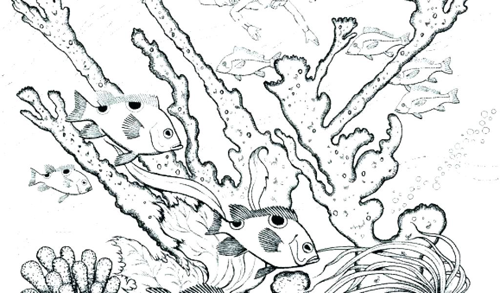 1024x600 Underwater Coloring Page Underwater Coloring Pages 5 Underwater