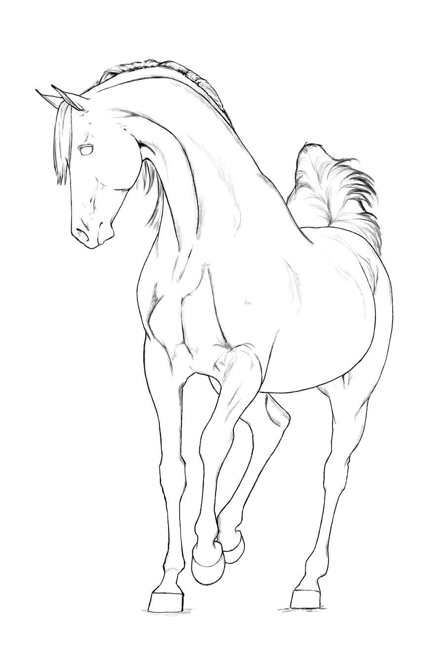 900x1325 Astonishing Arabian Horse Coloring Pages Exclusive Inspiration