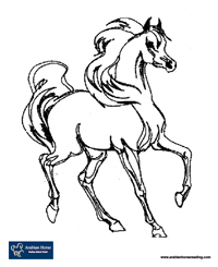 200x245 Amazing Idea Arabian Horse Coloring Pages To Print