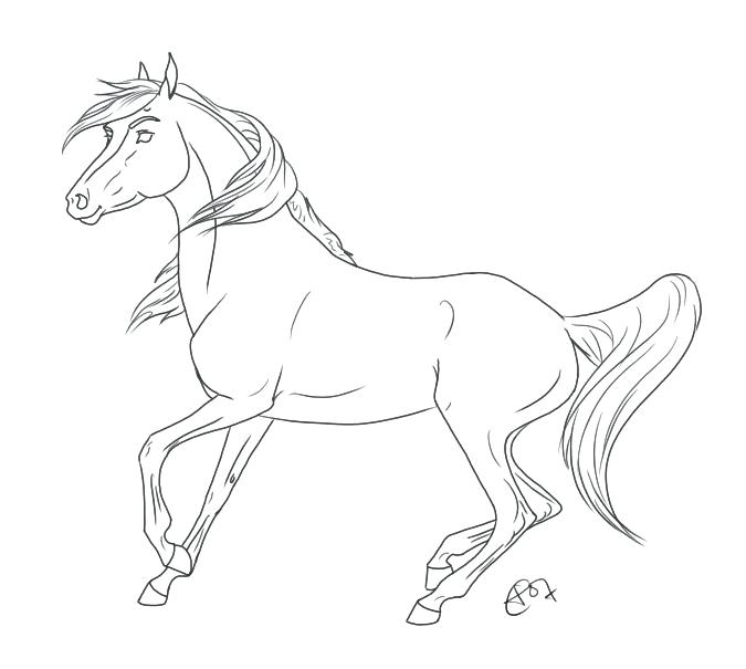 675x605 Arabian Horse Coloring Pages Innovation Idea Horse Coloring Pages