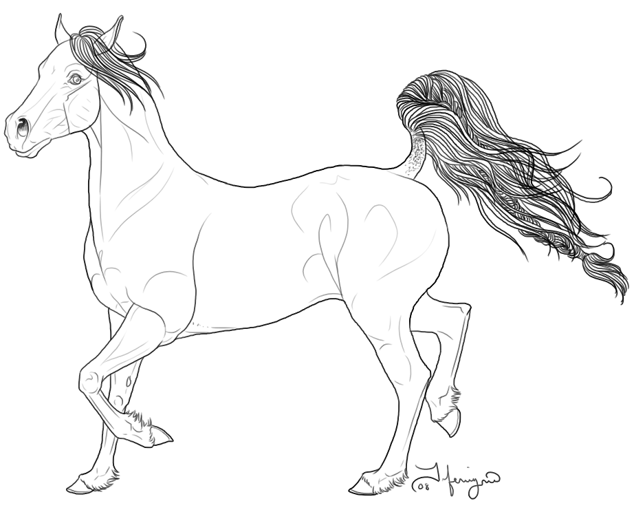 922x744 Arabian Horse Coloring Pages Arabian Horse