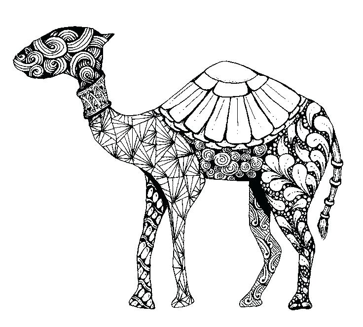 736x664 Arabic Coloring Pages More Coloring Pages World Ic Woman