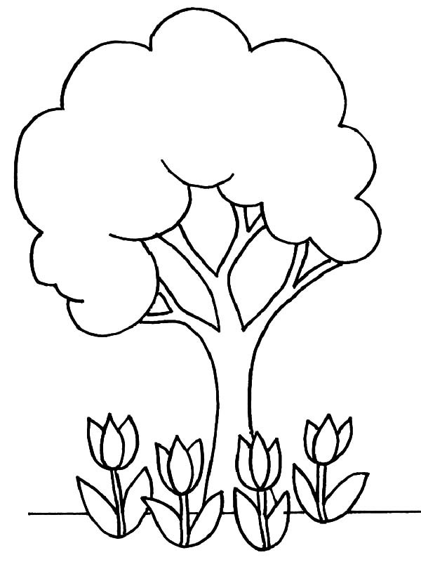 600x800 Healthy Tree On Arbor Day Coloring Pages Best Place To Color