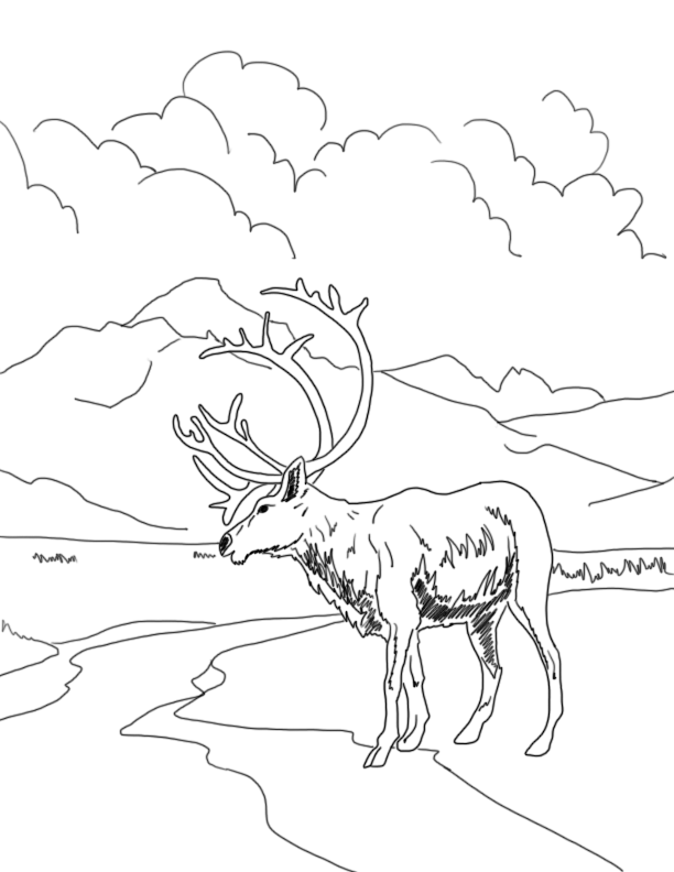 612x792 Coloring Pages