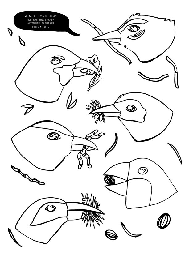600x818 Coloring Pages. Evolution Coloring Book