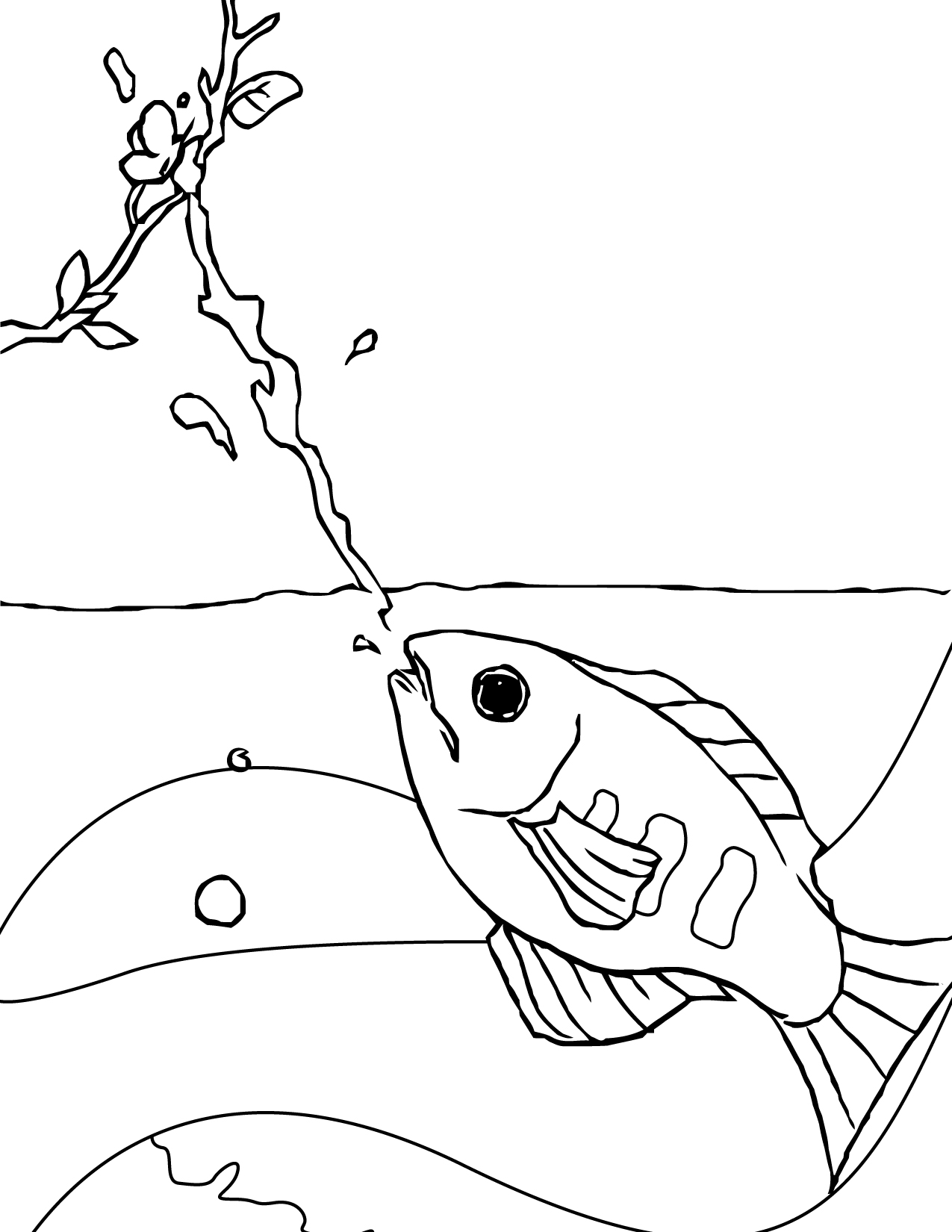 1275x1650 Archerfish Coloring Page