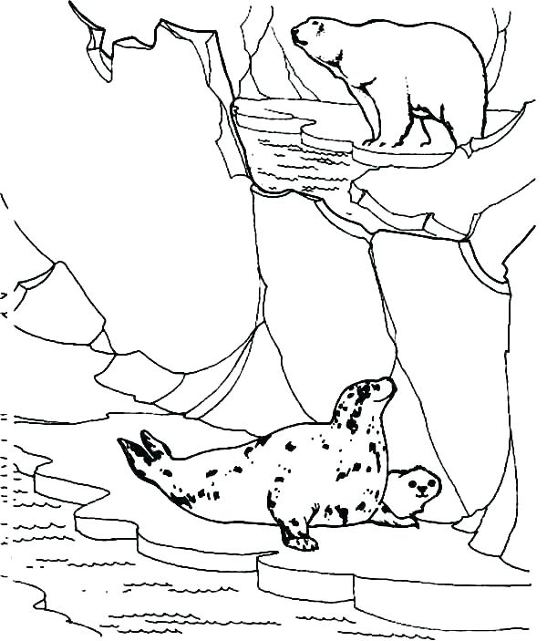 600x703 Arctic Animals Coloring Pages Arctic Animal Coloring Pages Arctic