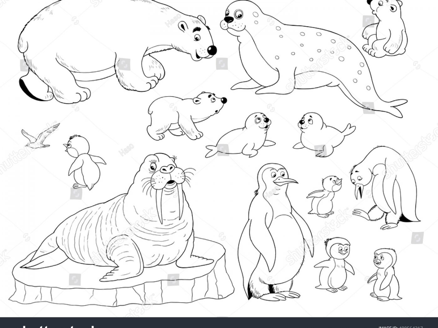 1400x1050 Arctic Animals Coloring Pages Printable General Free Page