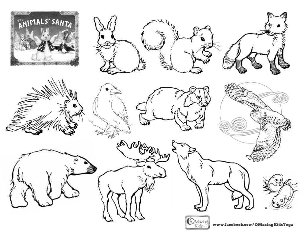 1024x789 Arctic Animal Coloring Pages