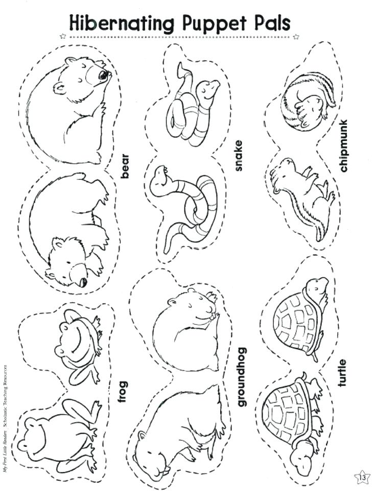 736x968 Polar Animals Coloring Pages Arctic Animals Coloring Pages