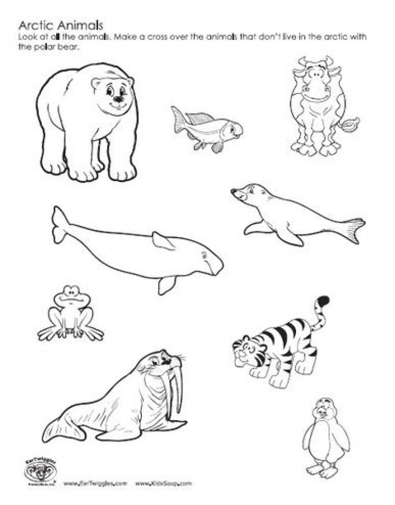 802x1024 Special Arctic Animal Coloring Pages Penguin 4 Kids In Animals