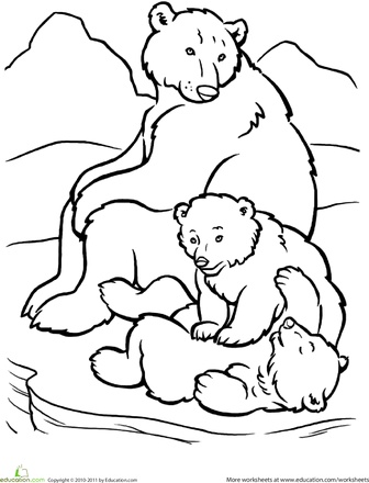 Arctic Animals Coloring Pages For Preschoolers