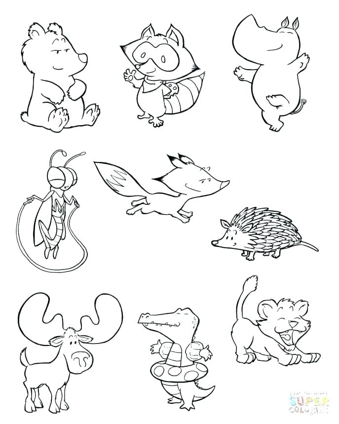 687x859 Arctic Animals Coloring Pages Arctic Animal Coloring Sheets