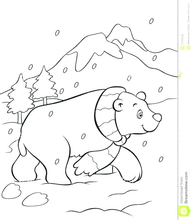 618x704 Arctic Animals Coloring Pages For Preschoolers Polar Bears Free