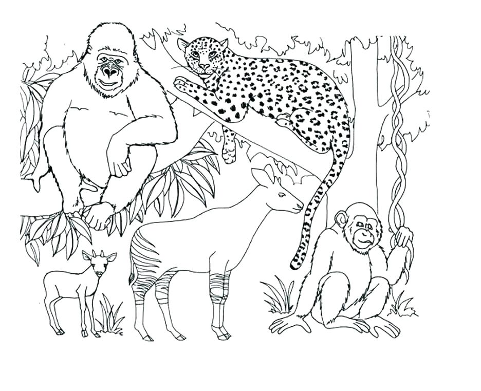 936x761 Arctic Coloring Pages Arctic Animal Coloring Pages Free Animals