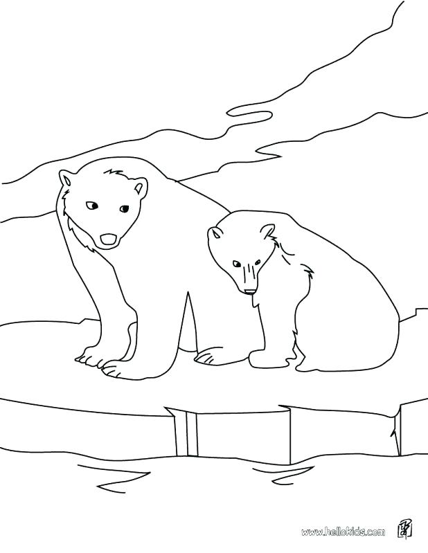 618x799 Arctic Animal Coloring Pages Coloring Pages Of Polar Bears Adult