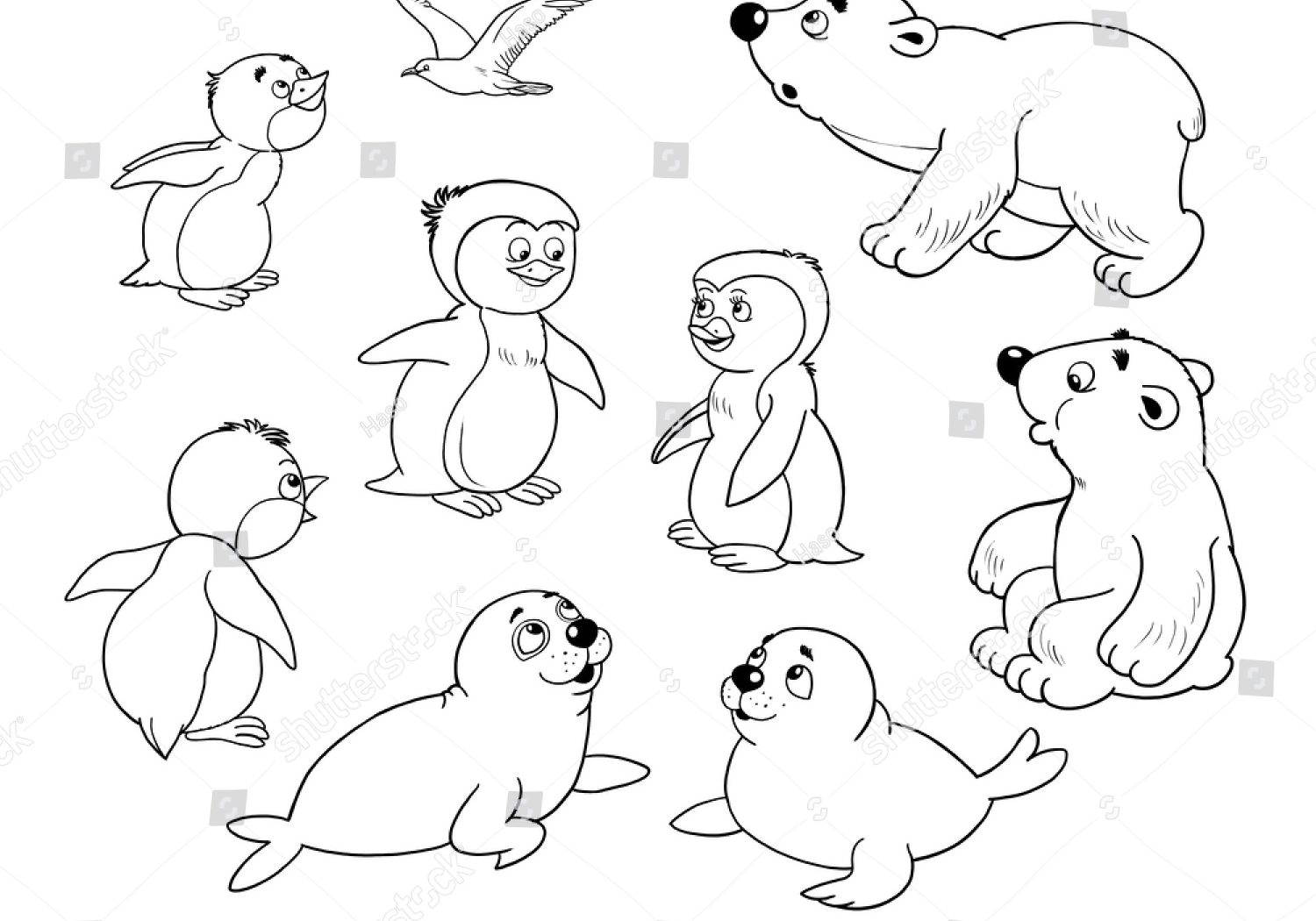 1500x1050 Arctic Animals Colouring Pages Coloring General Free Page