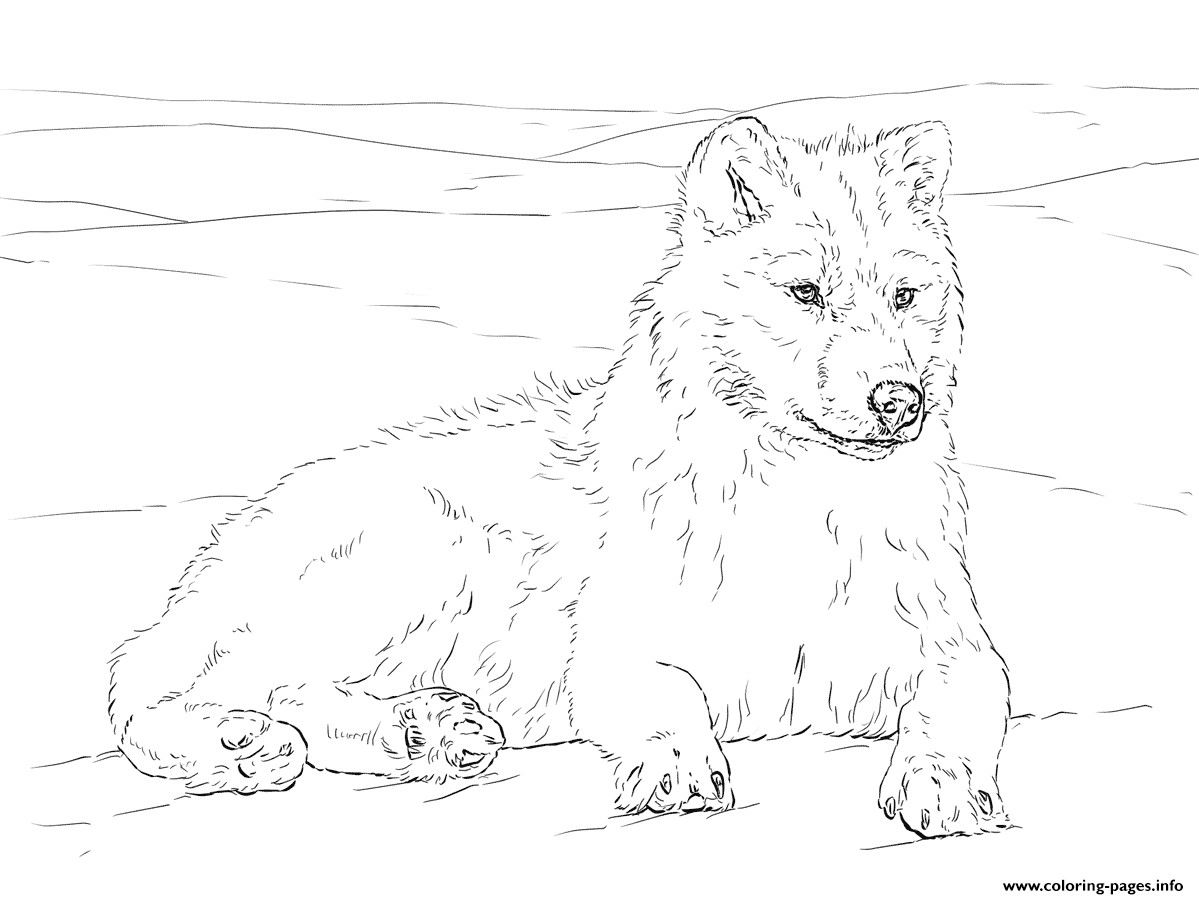 1199x899 Arctic Wolf Coloring Pages Printable Showy Acpra