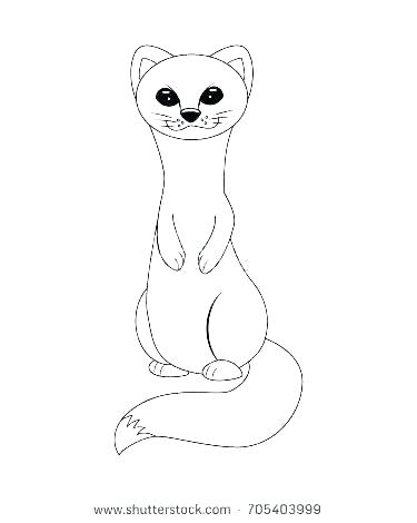 375x470 Ferret Coloring Pages Ferret Coloring Pages Arctic Coloring Pages