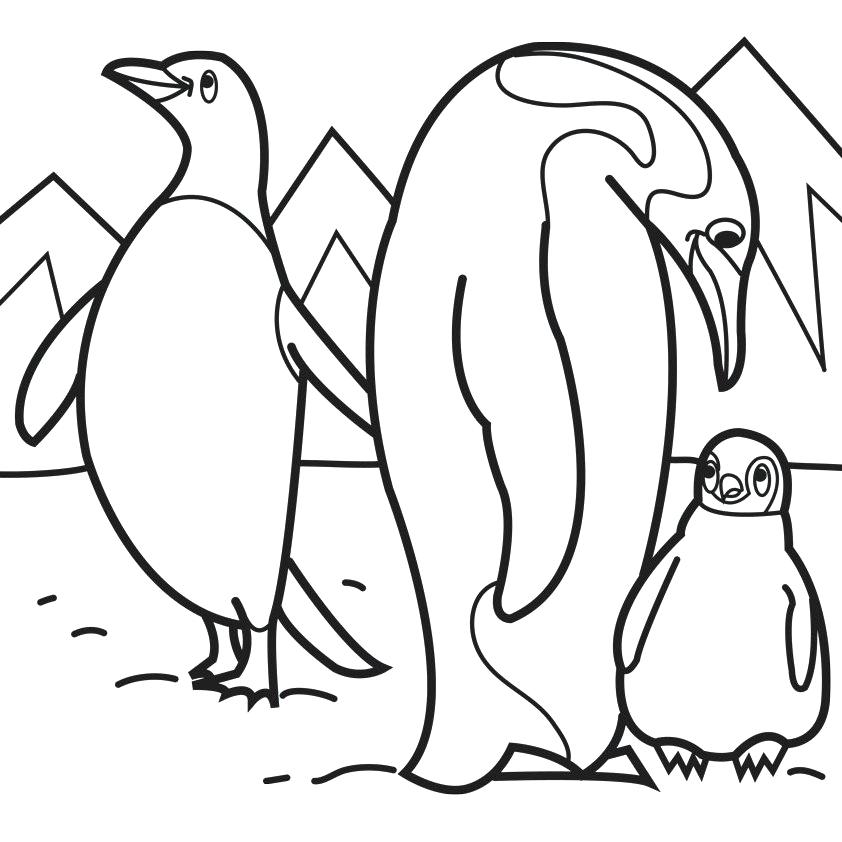 842x842 Arctic Animal Coloring Pages Arctic Animals Penguin Parent
