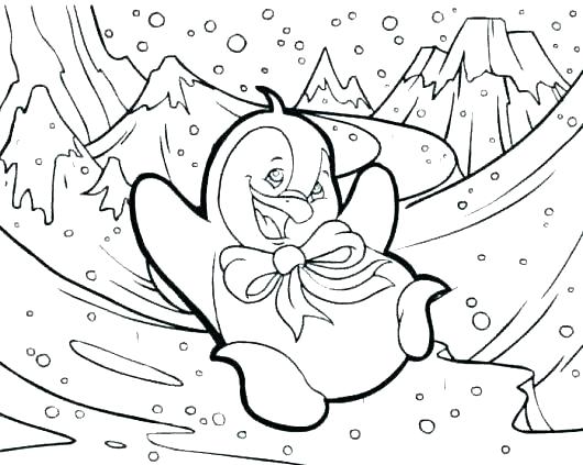 530x423 Arctic Animals Coloring Pages Free Polar Bear Animal Best Of