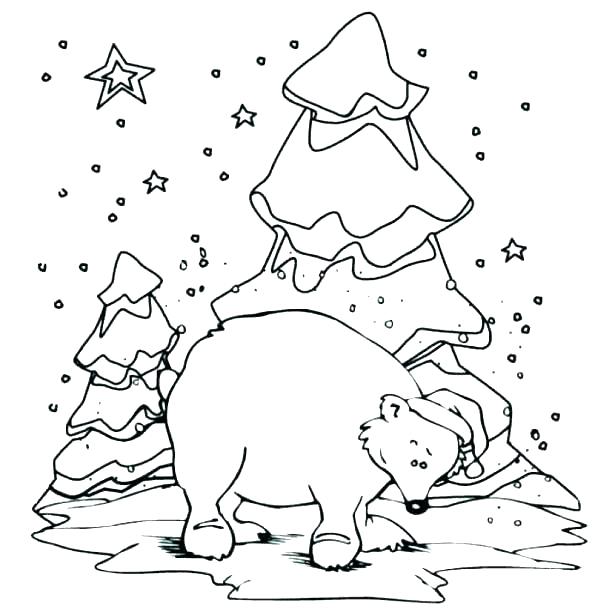615x612 Arctic Animals Coloring Pages Together With 65 Free Arctic Animal