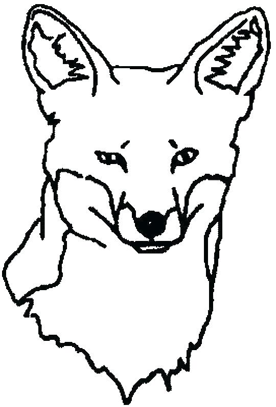 540x794 Printable Fox Coloring Pages Fox Coloring Pages Free Printable
