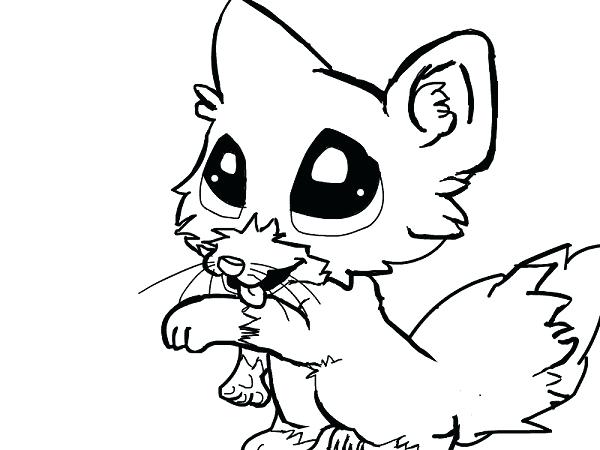 600x450 Arctic Fox Coloring Page
