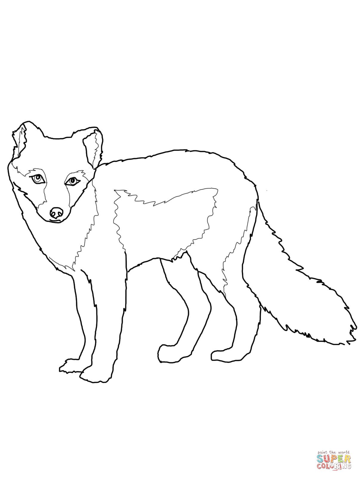 1200x1600 Arctic Fox Summer Coat Coloring Page.jpg Stiches