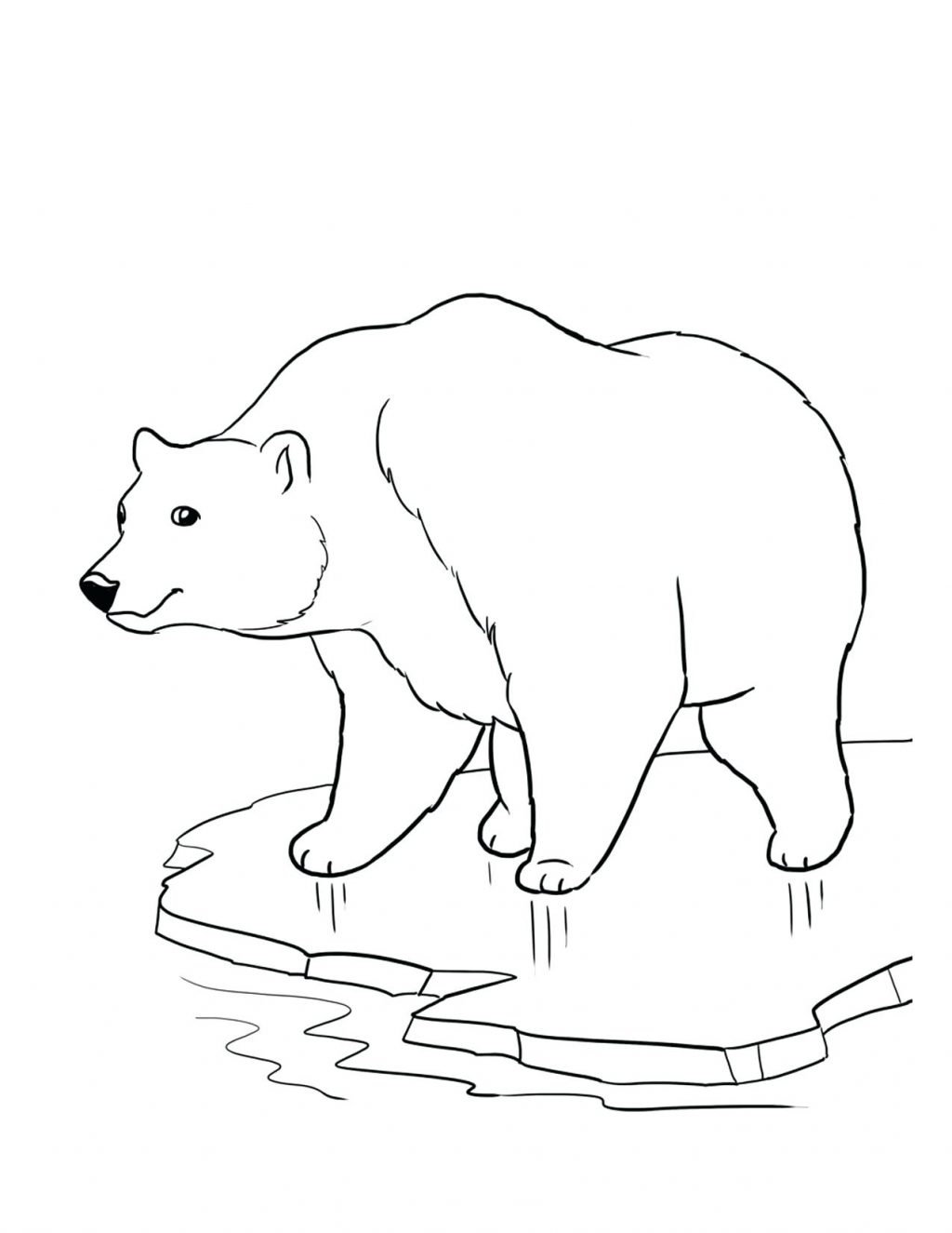 1024x1325 Coloring Page ~ Arctic Fox Coloring Page Good Polar Bear For Print