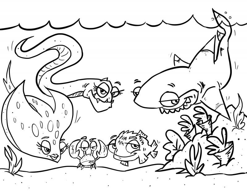 800x618 Arctic Habitat Coloring Pages Unique Puffer Fish Coloring Pages