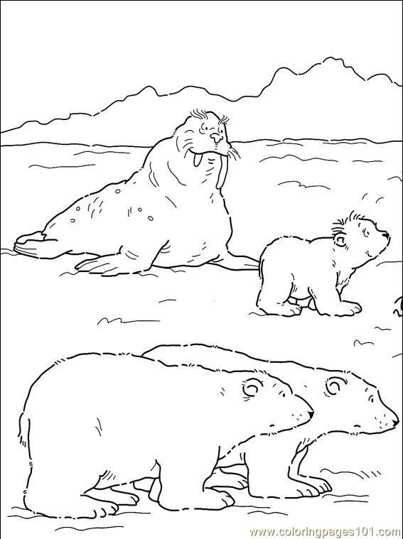 567x759 Artic Coloring Pages To Print 2nd Grade