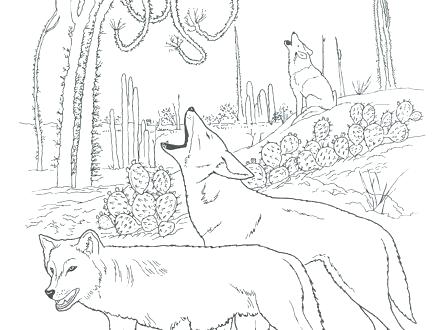 440x330 Charming Ideas Arctic Animals Coloring Pages Free Printable Home