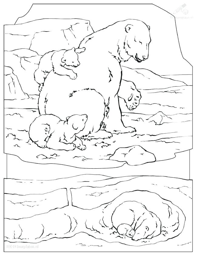 650x841 Coloring Pages For Kids Drawn Polar Bear Arctic Animal Pencil