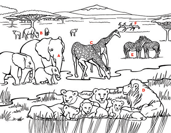 555x432 47 African Savanna Coloring Pages, Safari Or African Savanna