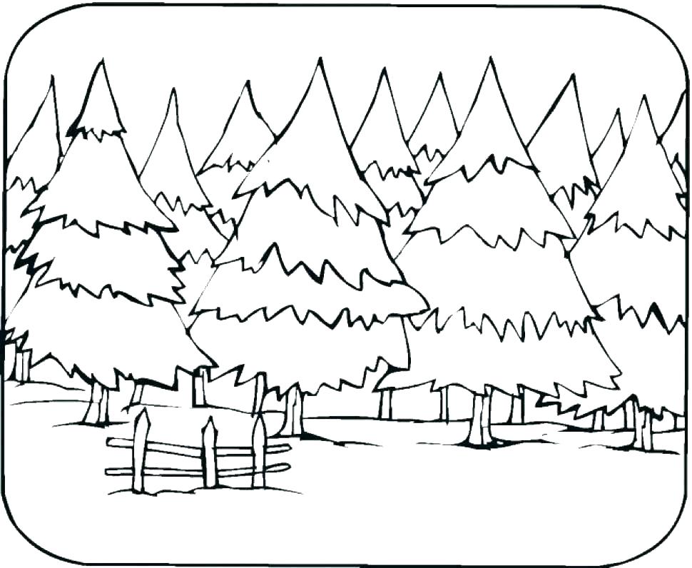 970x796 Animal Habitat Coloring Pages Animal Habitat Coloring Pages Animal