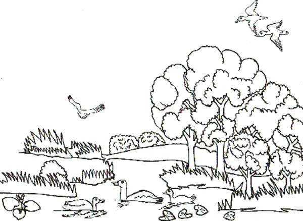 600x438 Animal Habitat Coloring Pages Animal Habitats Landscapes Coloring