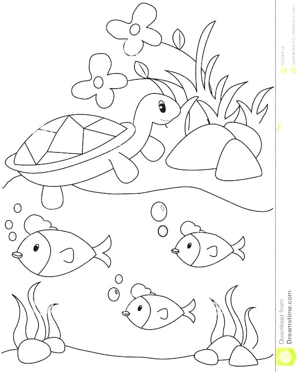618x764 Animal Habitat Coloring Pages Pond Coloring Page Pond Coloring