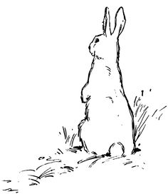 236x272 Arctic Hare Clipart