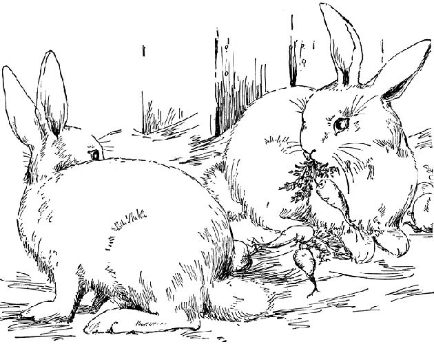 630x500 8 Best Coloring Pages Images On Coloring Books